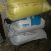گنسلام دم خورده
