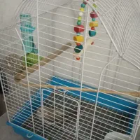 قفس پرنده