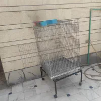 قفس