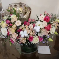 خانم جهت امور منزل ( نظافت ) نیازمندیم