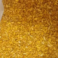 بلغورشیر گوسفندی