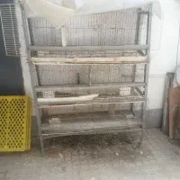 قفس مرغ و خروس