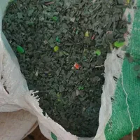 خریدار مواد سبد  اسیابی