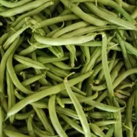 لوبیا سبز تازه چین