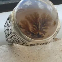 فروش دوعدد انگشتر شجر
