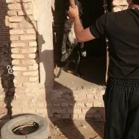 سگ نگهبان قهدرجونی