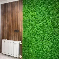 گرین وال دیوار سبز