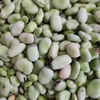 باقلی|خوردنی و آشامیدنی|قم, کلهری|دیوار