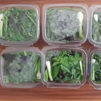 سبزی ، باقالی ، نخود سبز ، هویج ، کرفس
