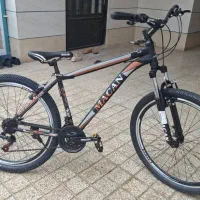 دوچرخه حرفه ای