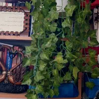 چند عدد گل بفروش می‌رسد
