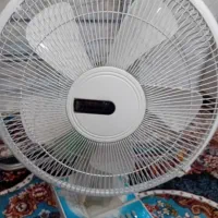 پنکه زمینی