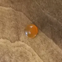 عقیق کله قندی کهنه