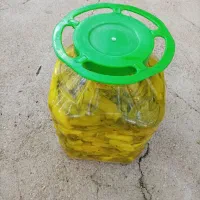 ترشی بیلهر