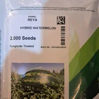 بذر هندوانه ریا