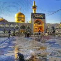 پیش فروش تور ریلی مشهد ویژه خرداد