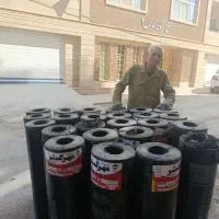 ایزوگام