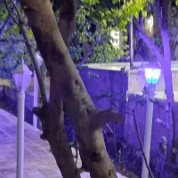 اجاره باغ ویلا مهریز
