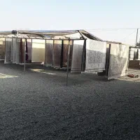 کارخانه قالیشویی باباقدرت پیروزی خاوران محلاتی