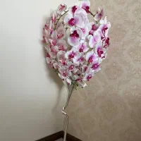 گل ارکیده و گلدان پایه بلند پیچ