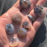 عقیق شجر قاعنات