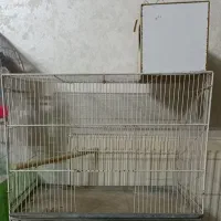 قفس بزرگ (جفتگاه)
