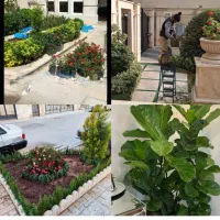 خدمات باغبانی در محل تعویض خاک گلدان منزل وشرکت