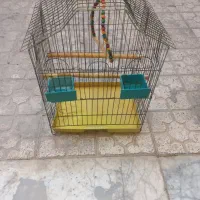 فروش قفس