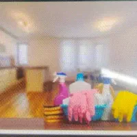 نظافت منزل با دقت و مسئولیت