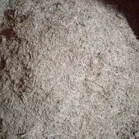 کاه دیمه نرم باضمانت کیلو20