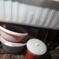 وان سبزی شستن دیگه احتیاج ندارم برا ماهی هم خوبه