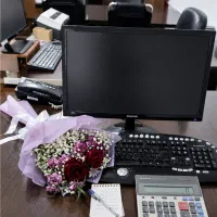 خدمات حسابداری و مالی