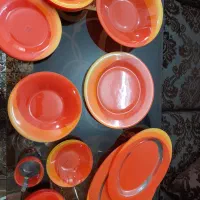 آرکوپال رنگی جنس ترک