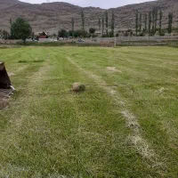 ۶۶۴ متر زمین کجور خوش قواره متری ۴ تمن
