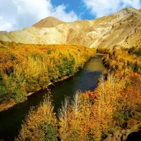 بهترین فرصت سرمایه گذاری کوتاه مدت و بلند مدت