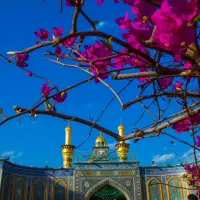 زیارت عتبات