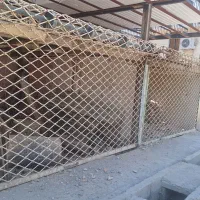 دو دهنه کرکره فلزی و قدیمی .