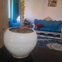 دو عدد  گلدان سنگی