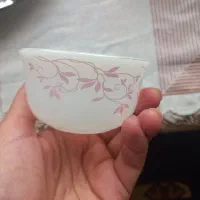 ۴ عدد ترشی خوری