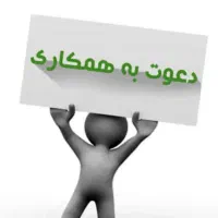 همکار طراح سایت وردپرس