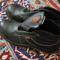 کفش کار نو