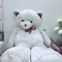 خرس دونیم متری بامزه