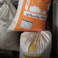 کود کفتر