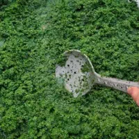 سفارش سبزی تازه و خانگی