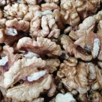 مغز گردو غنچه و دوپر
