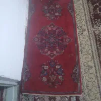 تعدادی فرش دست بافت