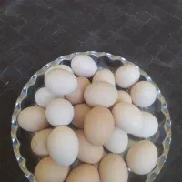 فروشی