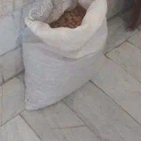 بادام|خوردنی و آشامیدنی|درگز, |دیوار