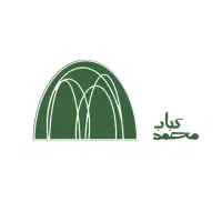 نیروی موقت