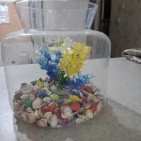 تنگ بزرگ ماهی